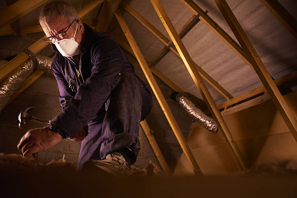 Best Insulation Materials and Products in Rainbow Lakes Estates, FL